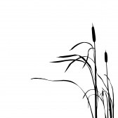 6657937-silueta-de-la-leng-eta-aislada-sobre-fondo-blanco.jpg