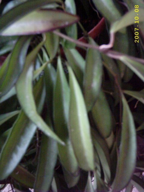 67ed0056aff111be6e9952f3add579f5o.jpg