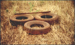68.jpg