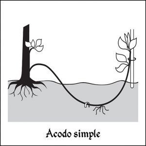 682698ef-acodo_simple-300x300.jpg