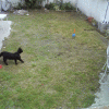 683d4b71998716.gif