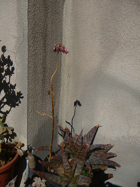 6869229095_d0ebab6692_z.jpg