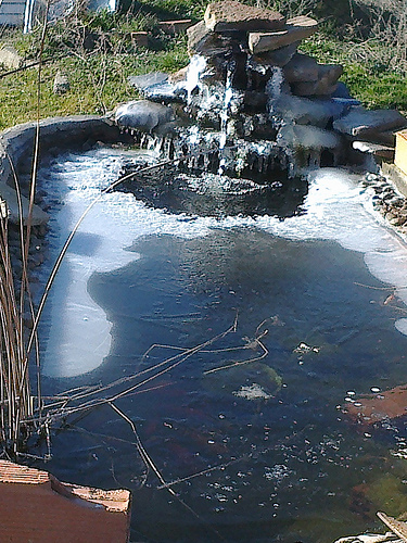 6895974909_30b0f17059.jpg
