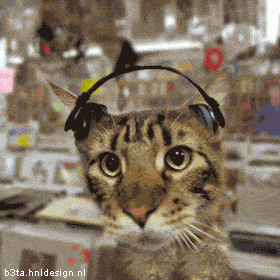 69039kd6ucc9vj0.gif