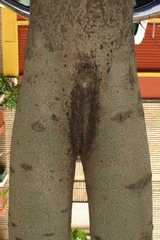69253.jpg