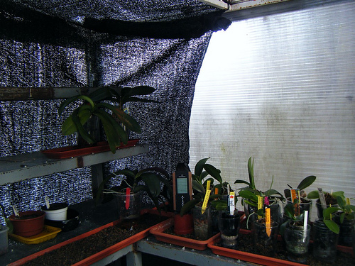 6964055024_205dbee4c2.jpg