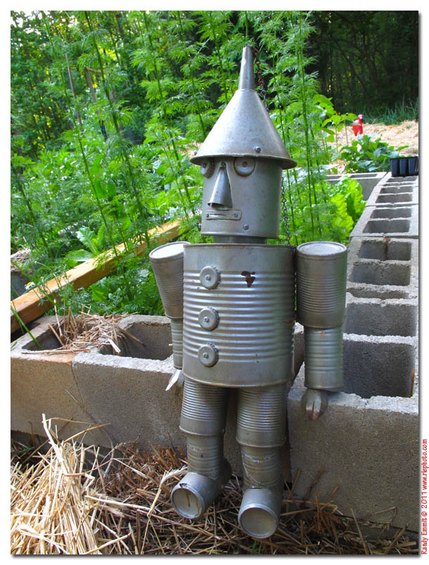 6967_tinman_ds.jpg