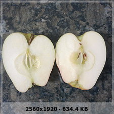698ea203d6043537a7e9aee17ec5c17bo.jpg