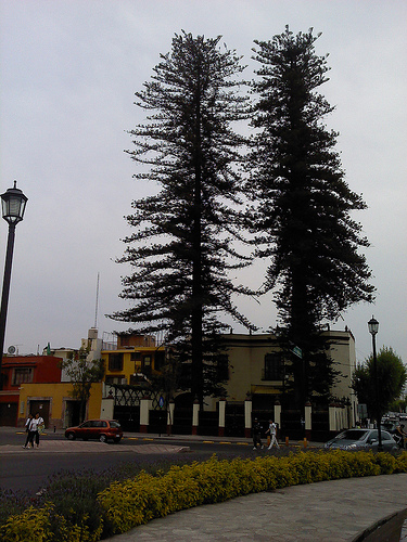 6994582662_f7ed1be423.jpg