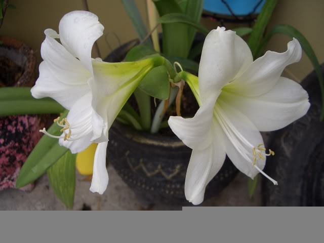 69c6953f.jpg
