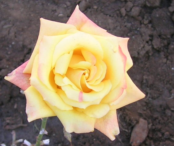 6_abril_06_008.jpg