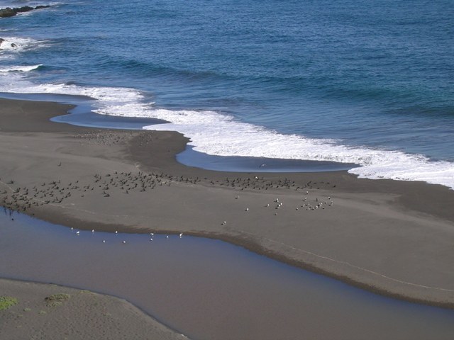 6_Mayo_007.jpg