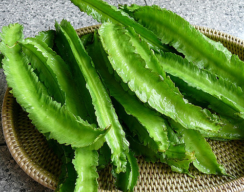 6a00e008d618bb8834015433c528ed970c-500wi.jpg