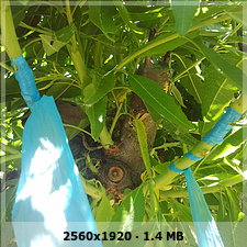 6a2984060d0d91b3a87f31a8123a9bcdo.jpg