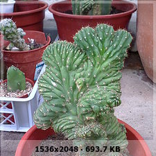 6b2104ddebbfa54f2720a90beca2e1b4o.jpg