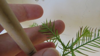6cb152515498956.jpg