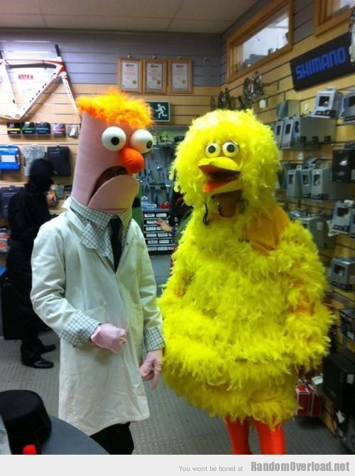 6ce3ashion-fail-funny-big-bird-looks-taller-on-tv1.jpg