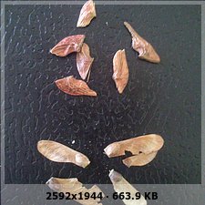 6da98d025c3a05862b8a9e9c21e014eco.jpg
