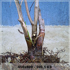 6e3bf2b34cecedec36fbb89746eea678o.jpg