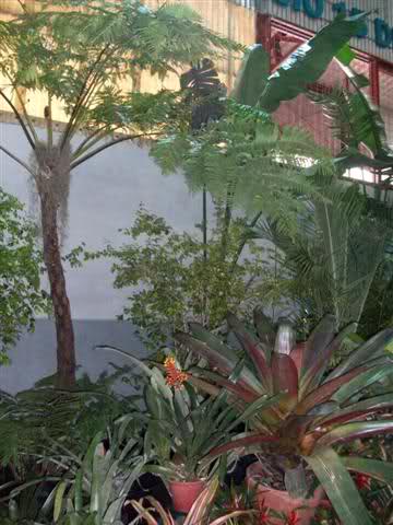6f4nz9.jpg