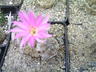 6f86.jpg