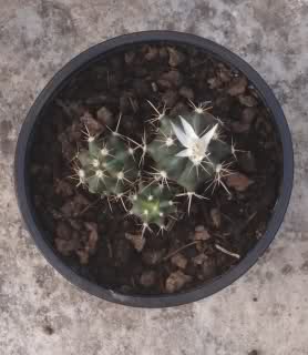 6f8f10.jpg