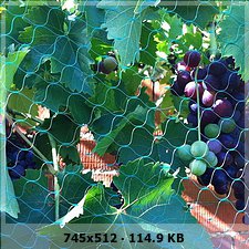 6f9f4512dc7b520c97e95a09508823b5o.jpg