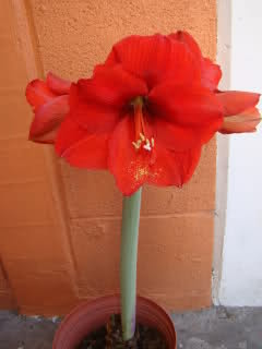 6fy59d.jpg