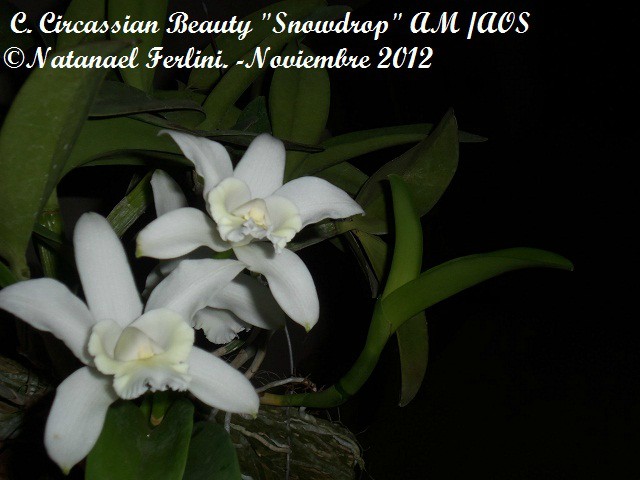 6KMSL.jpg