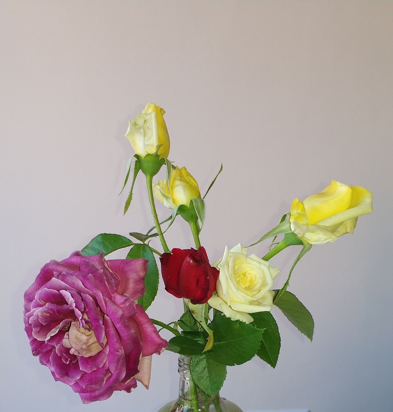 6Np3Cm5.jpg