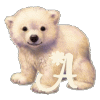 6ohb34.gif