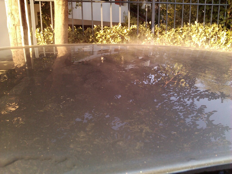 6s73f8.jpg