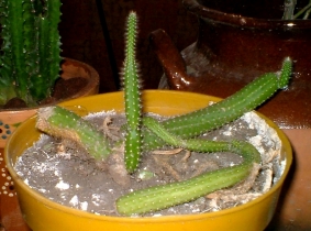 7%7E8.jpg