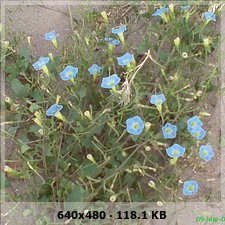 701be88b813473ce2607656cbccd9c81o.jpg