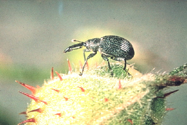 7030610.jpg