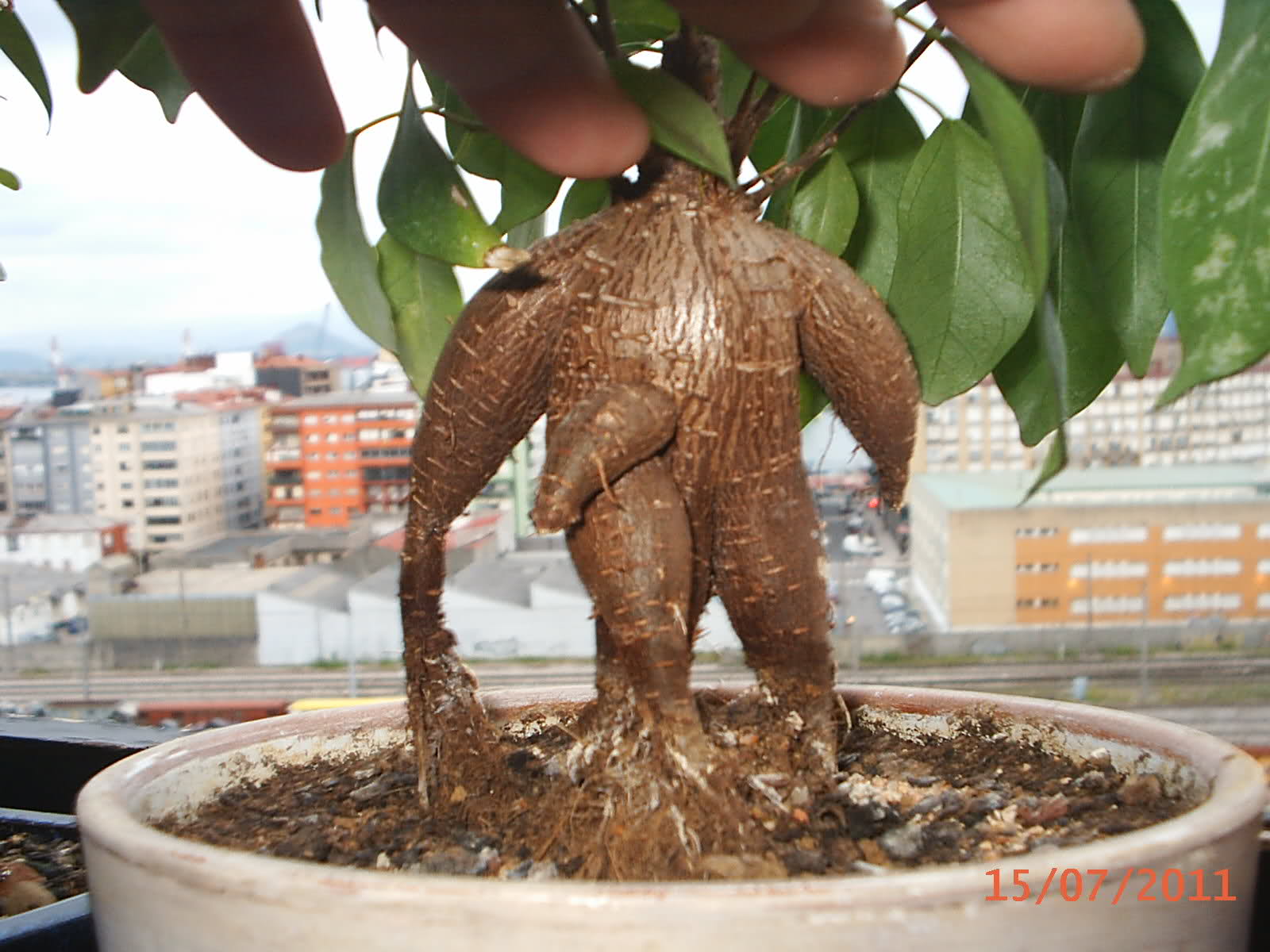 70dddx.jpg