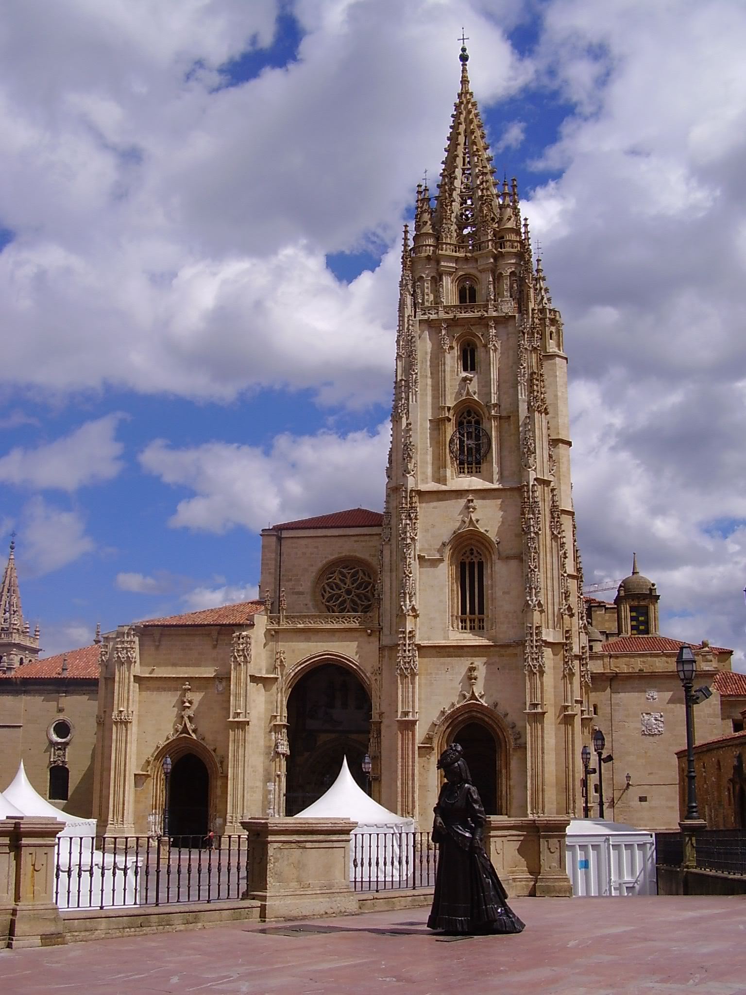 713f1463.jpg
