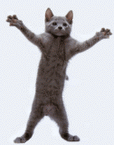 71AuUN8Qyj_93ULJOsYijQFvBNebHTgTJiyKVCx8B3U=w163-h207-p-no.gif