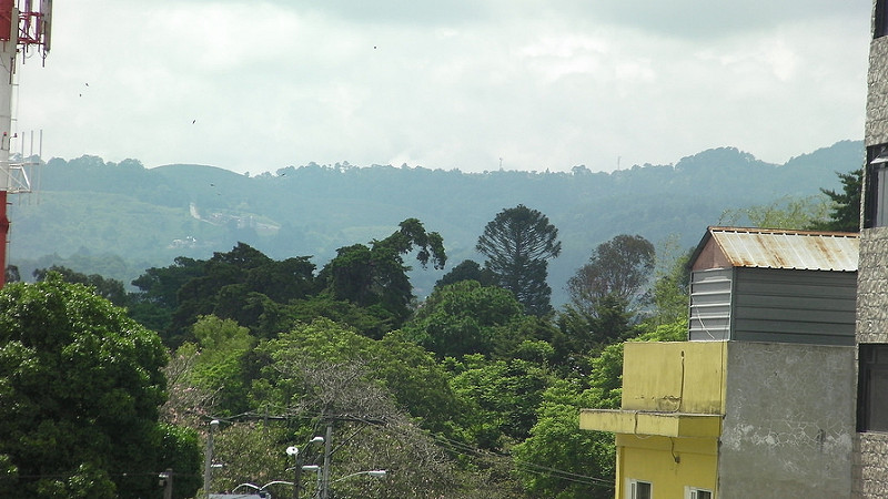 7225057124_6405217a34_c.jpg