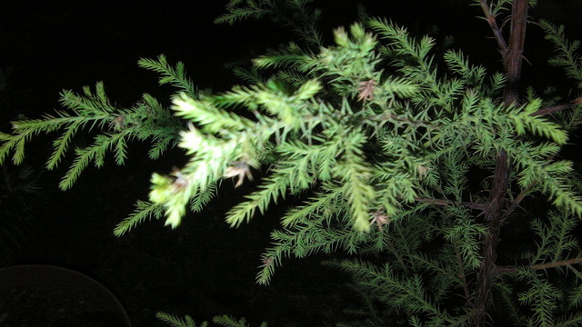 7259606326_bc9094ae0c_z.jpg