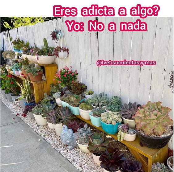 725f458f9572d050b6c19bc5ddc9b9e3.jpg