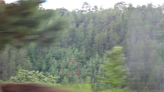 7291225220_3983b0ac16_z.jpg