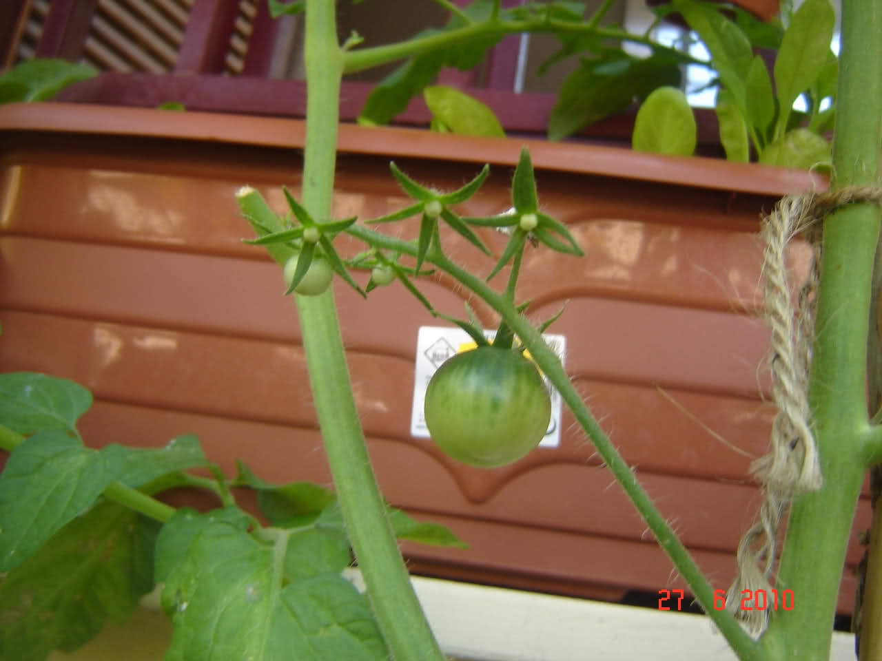 729g9g.jpg