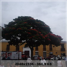 72c67da1d78624c2d956026b5b14bcdao.jpg