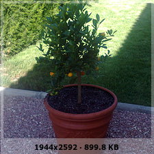 72e309db5aecfccbc38875395be48820o.jpg