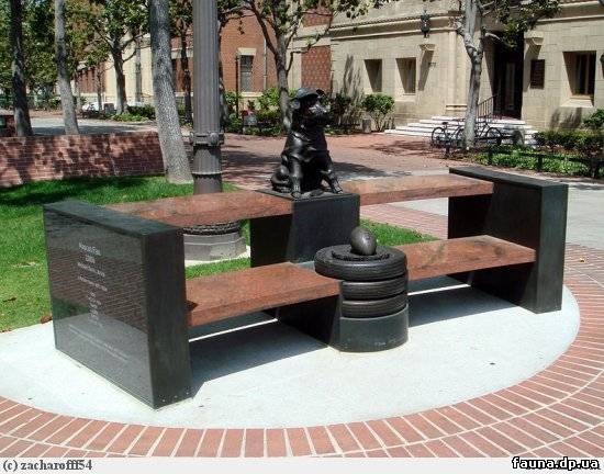 7354482.jpg