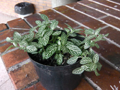 7372409888_393dbb8102_m.jpg