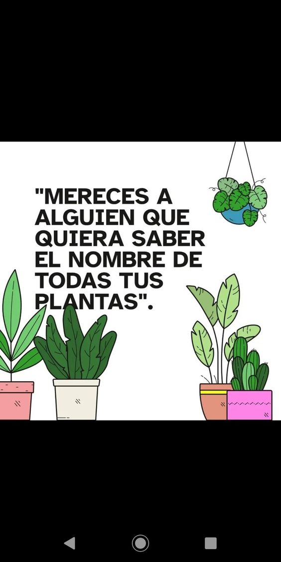 73a3b9149718853e6a47b85be4d78224.jpg