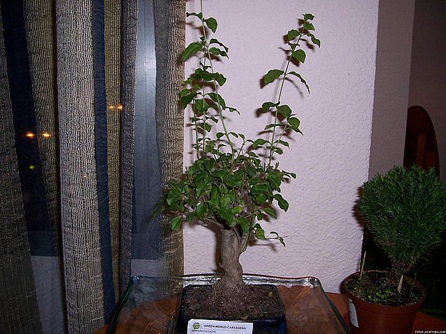 73b24143.jpg