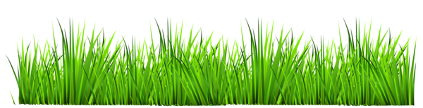 73ebf36fd801d8c9205b4111e23641e1.png